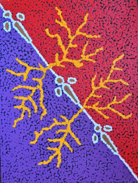 Rêve d’Emeu (Yankirri Jukurrpa)