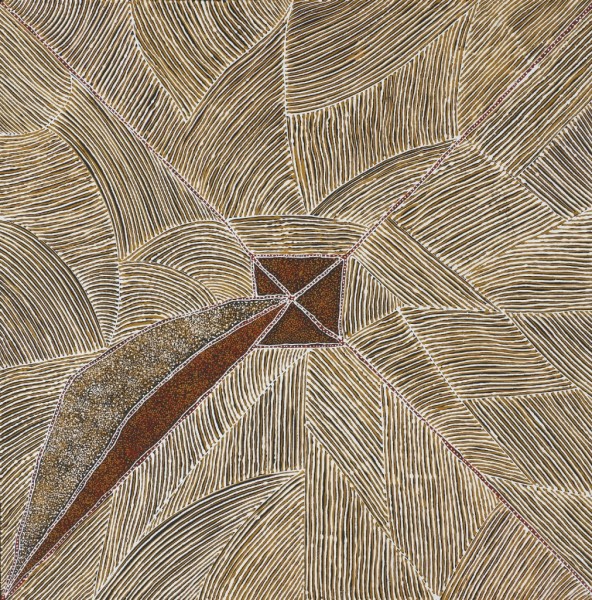 Moutain Devil Lizard Dreaming